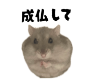 883219374