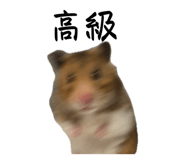 883219398