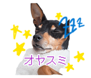 883246306