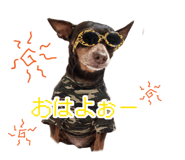 883246308