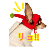 883246311