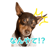 883246313