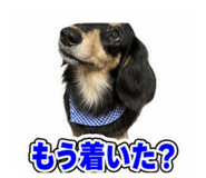 883253857