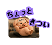 883258339