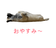 883267046