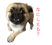 883267062