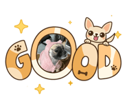883267068