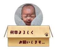 883271261