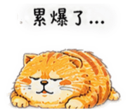 883286377