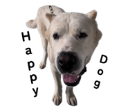 883287768