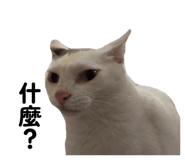 883287769