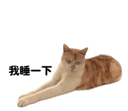 883287781