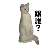 883287783