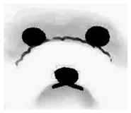 883291806