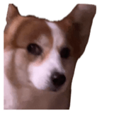 883299499