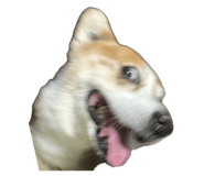 883299500