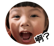 883300026