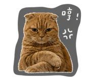 883300035