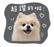 883300049