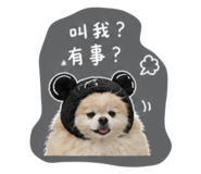 883300063