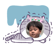 883300117