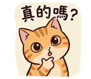 883300234