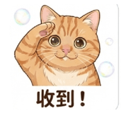 883300241