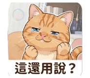 883300243