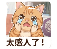 883300244