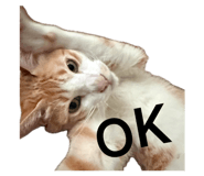 883300319