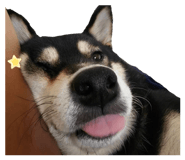 883300326