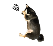 883300330