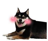 883300341