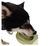 883300344