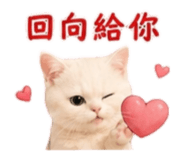 883300407