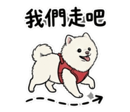 883300826