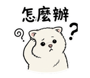 883300834