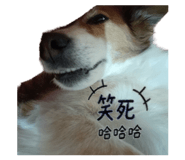 883300850