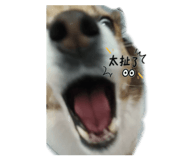 883300856