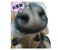 883300858