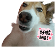 883300859