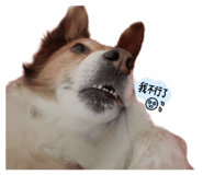 883300860