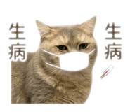 883300878