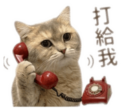 883300879