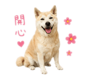 883301111