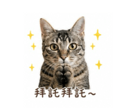 883302780
