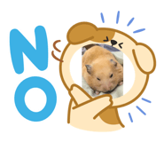 883303828