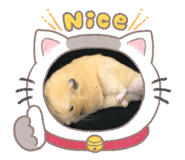 883304190