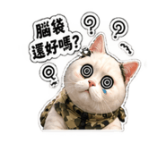 883304379