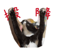 883304474
